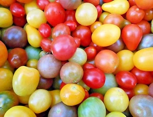 Rainbow Cherry Tomato Seeds, NON-GMO, Organic, Colorful, FREE SHIPPING - Picture 1 of 2