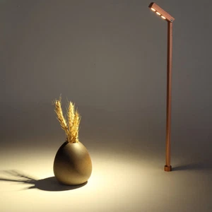 LED Cabinet Pole Lamp Fixtur Jewelry Store Exhibition Picture Display Light Gold - Picture 1 of 21