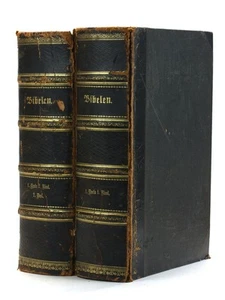 Bible In Danish / BIBELEN eller Den Hellige Skrift paany oversat af grundtexten - Picture 1 of 7