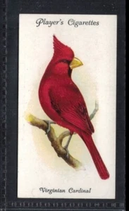VIRGINIAN CARDINAL - 90 + Tarjeta de Tabaco Inglés de Años # 41 - Imagen 1 de 2