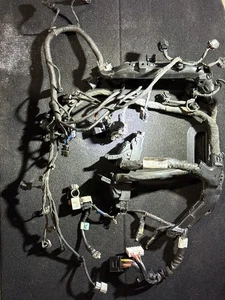 2017 2018 2019 HYUNDAI ELANTRA ENGINE WIRE HARNESS 2.0L SEDAN U.S. 91435F3080AA - Picture 1 of 5