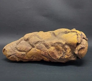 3366Gr Giant Natural Septarium Dragon's Stone Septarian Crystal Rough Mineral - Picture 1 of 7