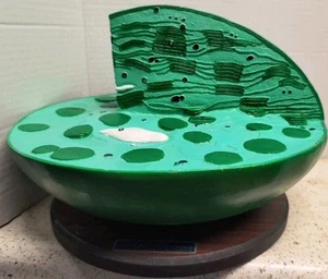 Bobbitt Laboratories Chloroplast Model Vintage - Picture 1 of 8
