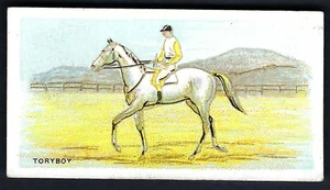 BRITISH AMERICAN (PRINTED) - MELBOURNE CUP WINNERS - TORYBOY - Picture 1 of 2