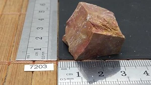 BOIS FOSSILE pierre brute mineraux collection pétrifié reiki esoterisme brut - Imagen 1 de 1