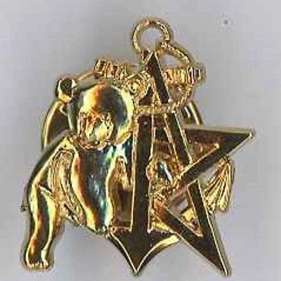 RICM 5° escadron Insigne de récompense ourson doré année 2005 - Photo 1/2