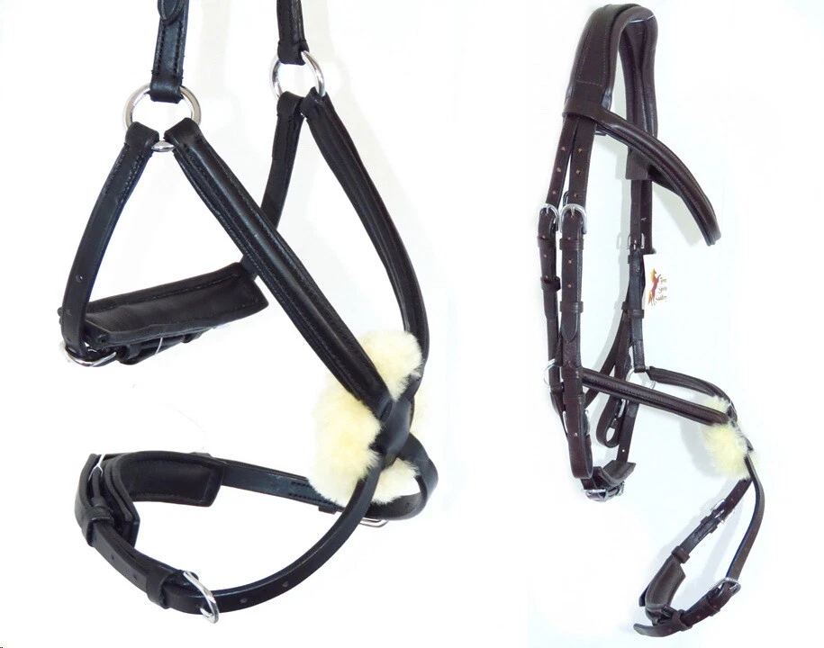 Figura Mexicana Acolchada FSS Anatómica MonoCorona Grackle Brida en Forma de Brida 8 Autopista  Foto 1 de 1