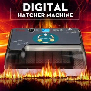 Digital 12 Egg Incubator Temperature Control Turning Chicken Hatcher Automatic - Picture 1 of 3