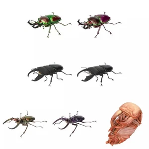 Ikimono Zukan Kuwagata 10 Complete Set of 7 Stag Beetle Mini Figures - Picture 1 of 1