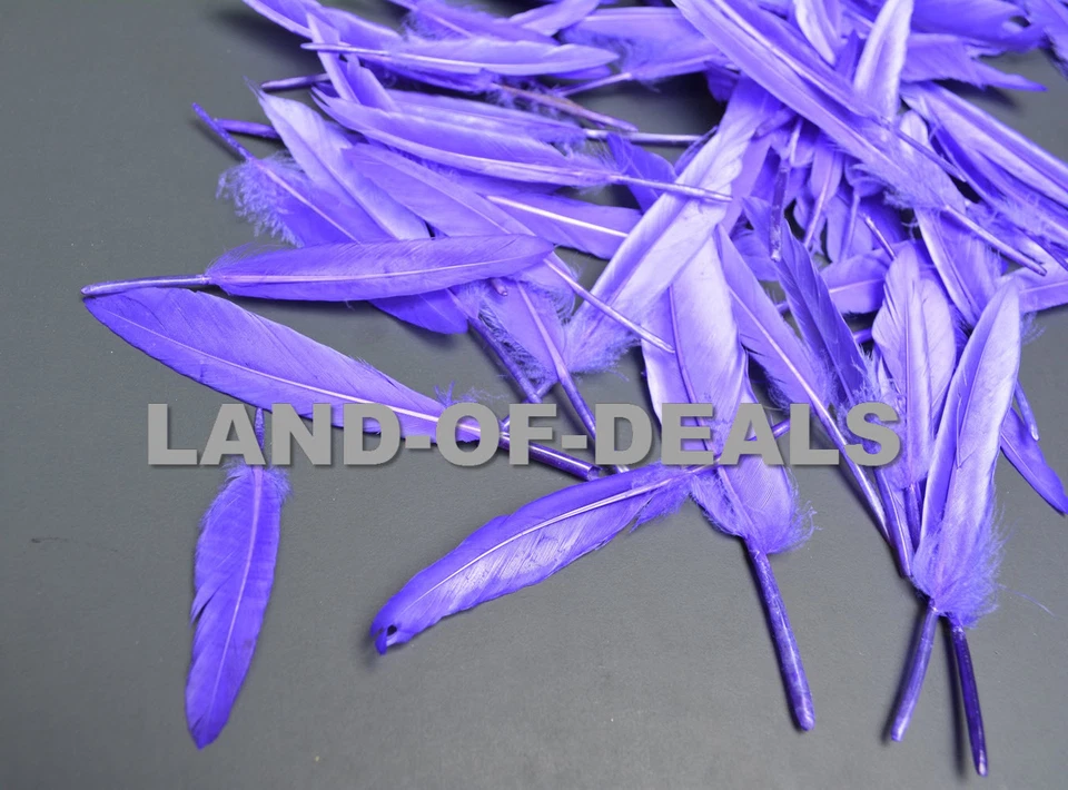 100 duck feathers Purple loose duck feathers small real feather for crafts decor - Image 1 of 4
