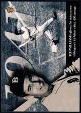 Ted Williams 1994 Upper Deck All Time Heroes #113 Red Sox ATH ID:19493