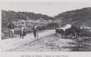 1910  --  OLERON   LES DUNES DE DOMINO   3J628 - Picture 1 of 1