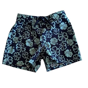 Gap Swim Trunks Boys 6 Blue Elastic Waist With Tie Mesh Lining - Picture 1 of 10
