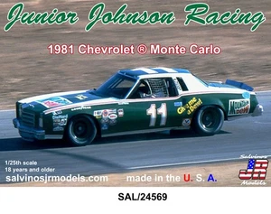 '81 Waltrip Monte Carlo Mountain Dew1:24 - Picture 1 of 1