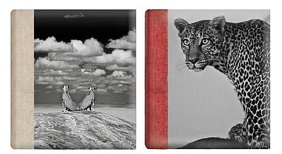 Self Adhesive Photo Album Deluxe Large Wildlife Hold Various Size Photos 30 Page - Image 1 of 4