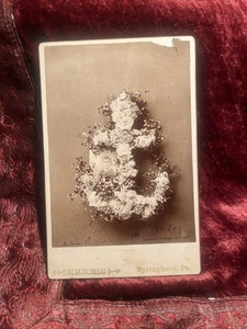 Viktorianisches Foto, Trauerblumen junger Mann Springboro Pennsylvania schwarz-weiß - Bild 1 von 8