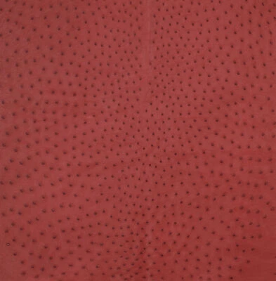 Piel de cuero de avestruz, Campari CF Foto 1 de 4