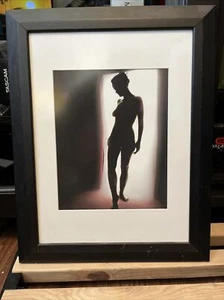 Black And White silhouette Nude Female Photo Curtains/Window 15x19 inch - Picture 1 of 2