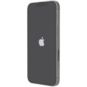 Apple IPHONE 13 Pro (6.1-inch) Smartphone (A2483) Xfinity Only - 256GB / Argent - Photo 1 sur 7