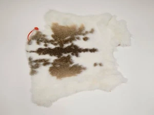 Czech Rabbit Skin Pelt Large: Brown & White spotted (283-2-CZNSP2-G2341) Y2F - Picture 1 of 2