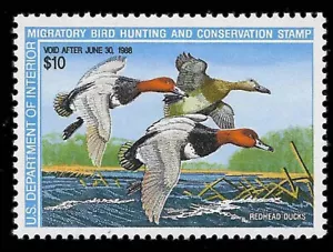 RW54v2 — 1987 Federal Duck Stamp color variety - Picture 1 of 2