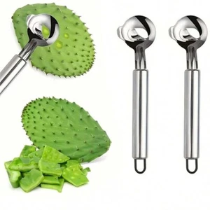 Cuchara peladora de cactus de acero inoxidable 2 piezas herramientas de cocina para pelar hojas de cactus - Imagen 1 de 10