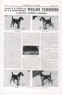 WELSH TERRIER 1924 BELWELL OUR DOGS DOG BREED KENNEL ADVERT PAGE b201 - Picture 1 of 1