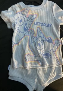 Bluey & Bingo. Children’s T Shirt & Short Set. Size 5T. Brand New W. Tags. - Picture 1 of 6