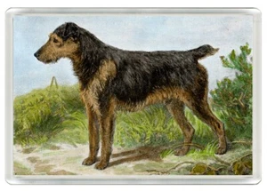 WELSH TERRIER DOG ART PRINT NOVELTY ACRYLIC FRIDGE MAGNET GREAT GIFT - Picture 1 of 1