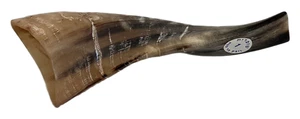 USED Small Shofar Kosher Ram's Horn in Beige Color From ISRAEL 6.25"  Holidays - Picture 1 of 7