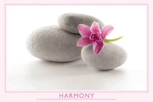 POSTER Harmony Rocks and Flower 36x24 - Picture 1 of 1