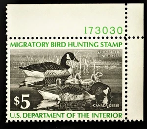 #RW43 1976 US Bund Ente Briefmarke 5 $ Zugvogeljagd postfrisch/vz OG NH #69 - Bild 1 von 2