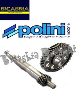 8138 - POLINI PRIMARY GEARS Z 15/49 Piaggio X10 125 4V ie EURO 3 - Picture 1 of 1