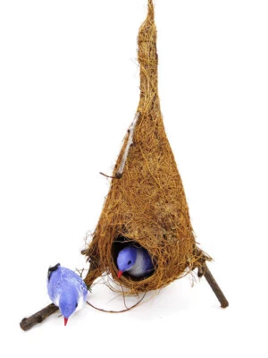 Nido de Pájaro Miniatura Vida Animal Artesanía Coleccionable Recuerdo Decoración del Hogar Regalo Foto 1 de 4