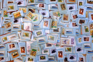 ARABIC STATES SOUVENIR SHEETS paperfree mix. (stuck together) 7 oz. (200 grams) - Picture 1 of 1