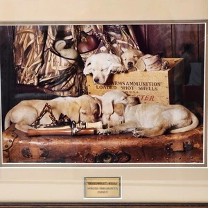 Stampa Ducks Unlimited 2002 David Hagan Waterfowlers Dream Edizione Limitata 3505/5000 - Foto 1 di 12