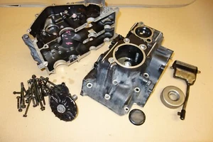 Kawasaki KLE 250 KLE250 Anhelo conjunto de fundas de motor carcasas motor motor - Imagen 1 de 11