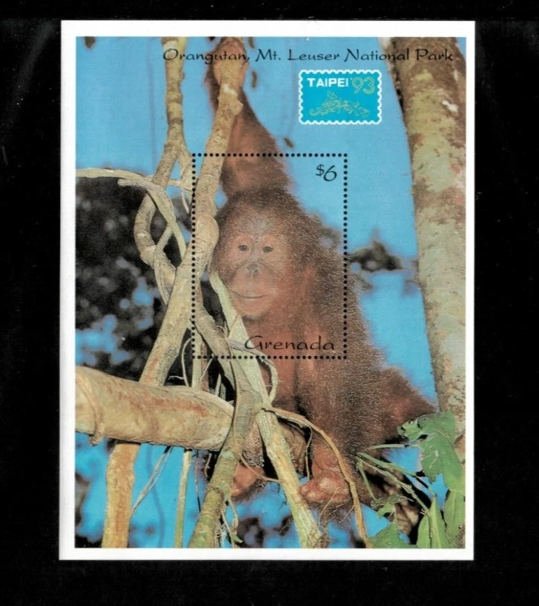 Grenada 1993 - Orangutans - Souvenir Stamp Sheet - Scott #2225 - MNH - Image 1 of 1