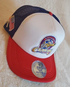 Calgary Cannons MiLB Ebbets Field Flannels Vintage Foam Trucker Snapback   - Picture 1 of 12