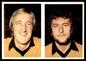 Daily Star (1980-81) Football - 299) Peter Daniel & 306) Derek Parkin (Wolves)