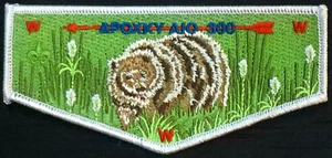 OA APOXKY AIO LODGE 300 BSA MONTANA COUNCIL PATCH 2020 FLAP REJECTED ERROR RARE! - Picture 1 of 4