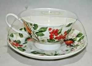 Stechcol Gracie Bone China Footed Teacup & Saucer Set Fruit / Flowers New - Picture 1 of 3