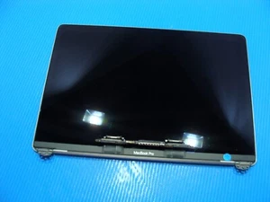 MacBook Pro A1989 2018 MR9Q2LL/A Conjunto de pantalla LCD de 13" gris espacial 661-10037 - Imagen 1 de 8