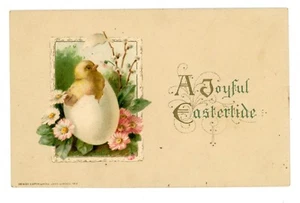 Joyful Easter -CHICK IN WHITE EGG- John Winsch Postcard Embossed - Bild 1 von 2
