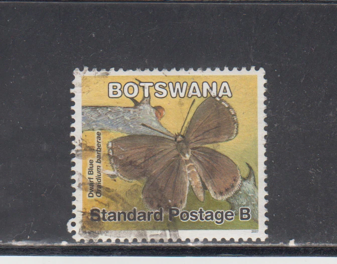 BOTSUANA: 2007 - USADO - MARIPOSAS SCOTT # 849 Foto 1 de 1
