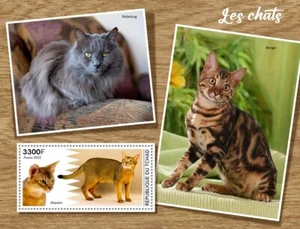 Cats Abyssinian Nebelung Bengal MNH Stamps 2022 Chad S/S - Picture 1 of 1