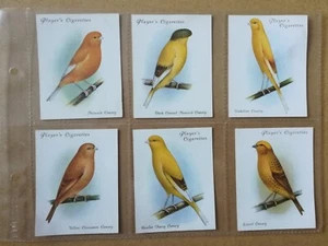 John Player-Aviary & Cage Birds(large)(1935)-Full set of 25 in sleeves - Picture 1 of 8