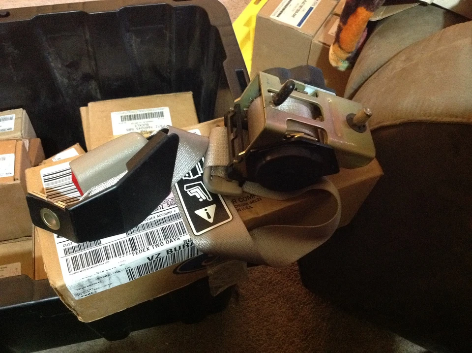 Nuevo OEM 1999 LINCOLN TOWN CAR CINTURÓN DE SEGURIDAD TRASERO DERECHO Y RETRACTOR  Foto 1 de 4