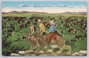 Exaggeration Postcard - 2 Cowboys Riding Huge Jack Rabbits - Rounding Up Cattle - Picture 1 of 2