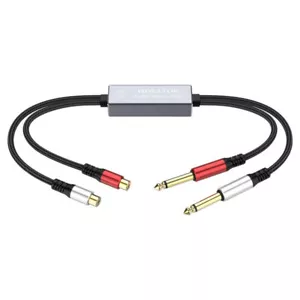Dual 6.35mm to 2 RCA Female Ground Loop Isolator Hum Eliminator Audio Adapter - Picture 1 of 3